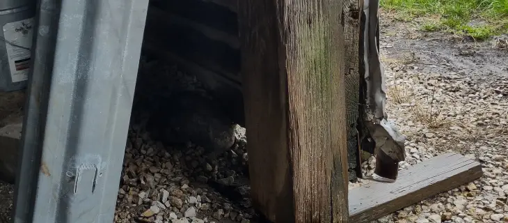 Rot on a pole needs column repair services from The Pro Barn Saver’s galvanized steel column repair sleeves